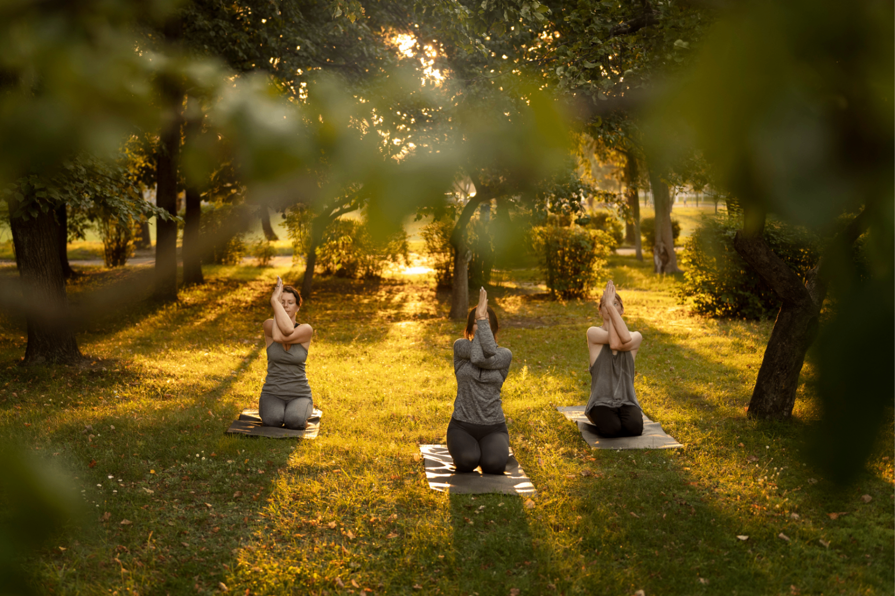Formação de Instrutores de Yoga